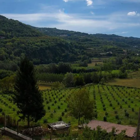 Le Coccinelle