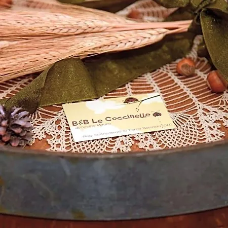 Bed & Breakfast Le Coccinelle 3*