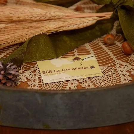 Le Coccinelle