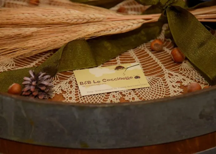 Le Coccinelle